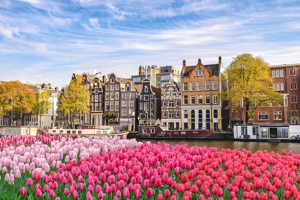 amsterdam_tulips_shutterstock_1310188561-1